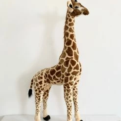 Standing Giraffe